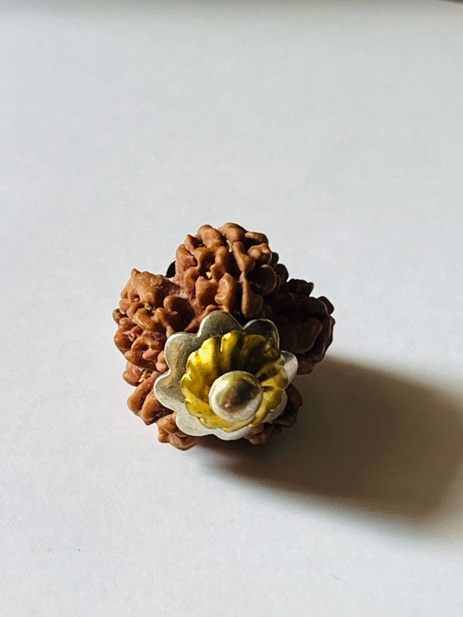 RUDRAKSHA